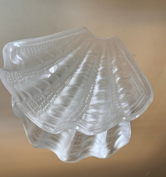 Frosted Glass Seashell Catch-All.